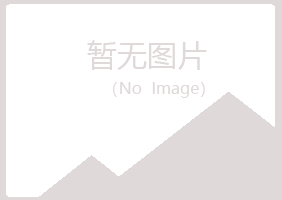 河池体会化学有限公司